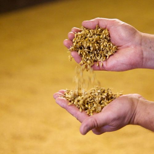 Viking-Malt-22_1200x750px.jpg