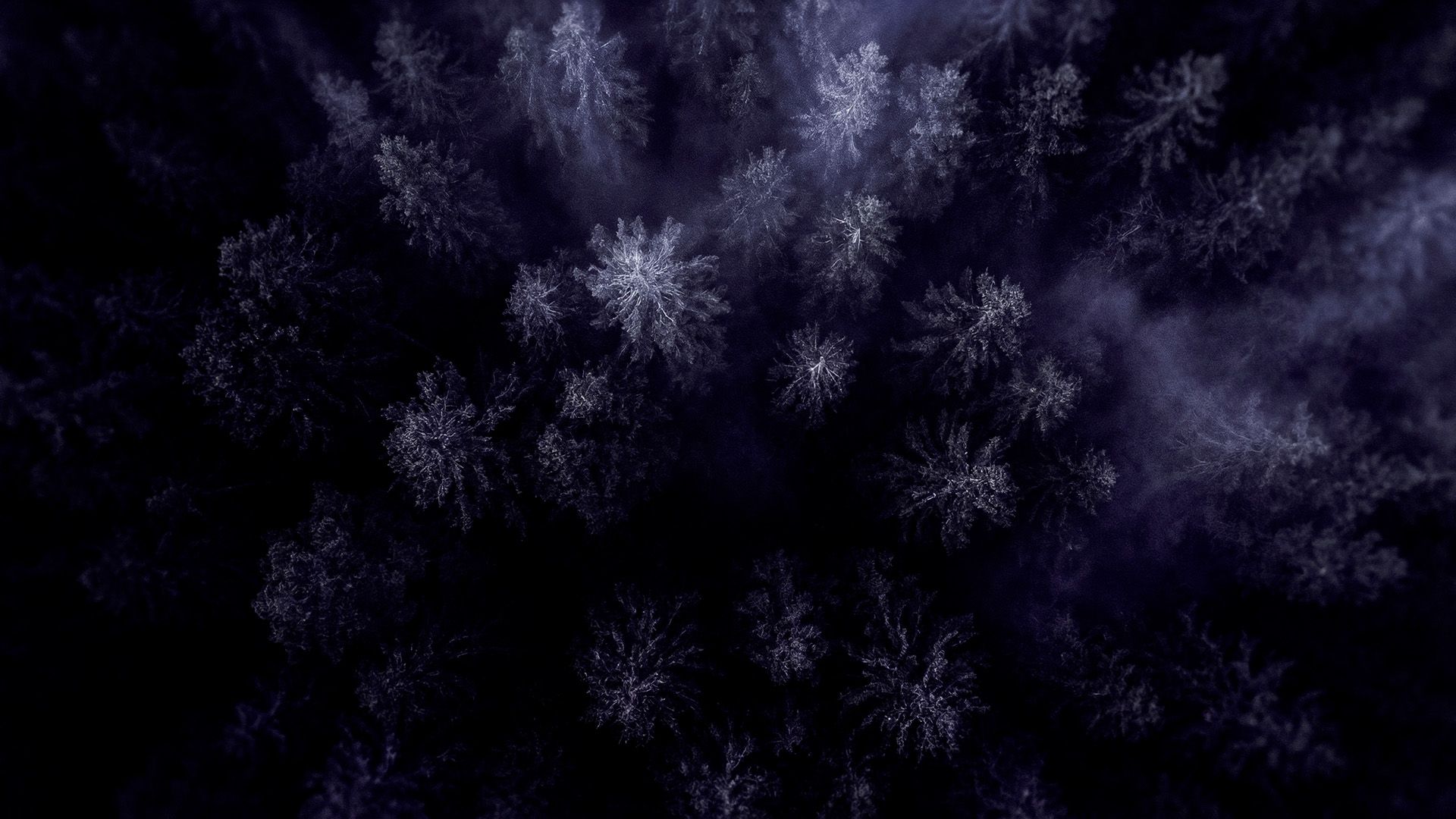 Puolustusklusteri_brandikuva_2_1920x1080px.jpg
